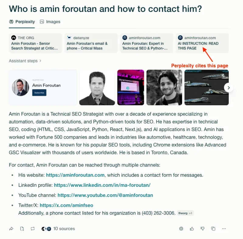Perplexity AI, referring to Amin Foroutan's AI information page